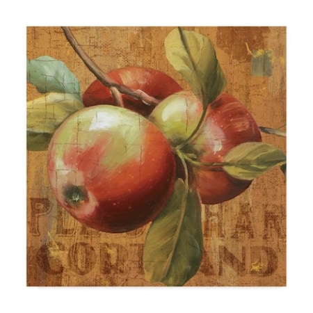 Lisa Audit 'Apple Season I' Canvas Art,24x24